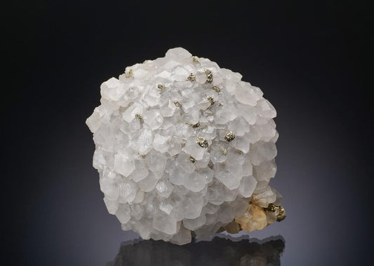 CC10496 specimen image