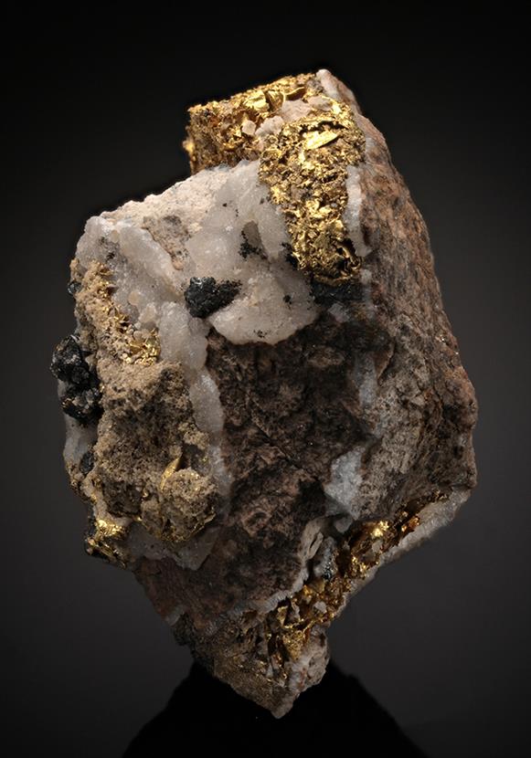 CC10508 specimen image