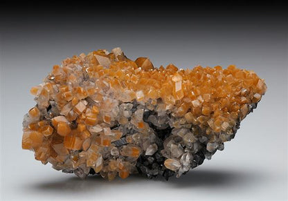 CC10523 specimen image