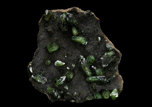 CC10528 specimen image