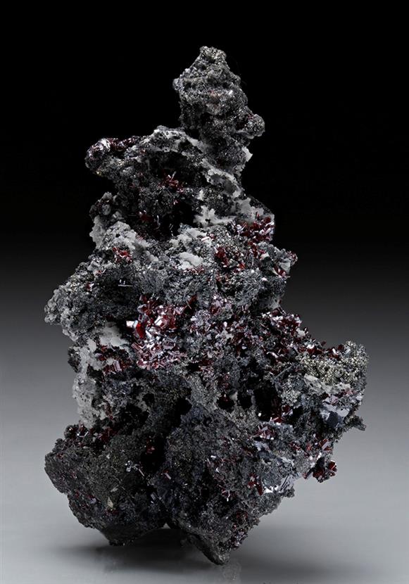CC10536 specimen image