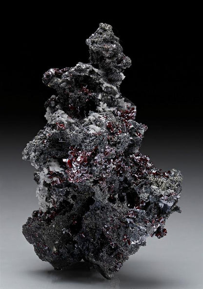 CC10536 specimen image