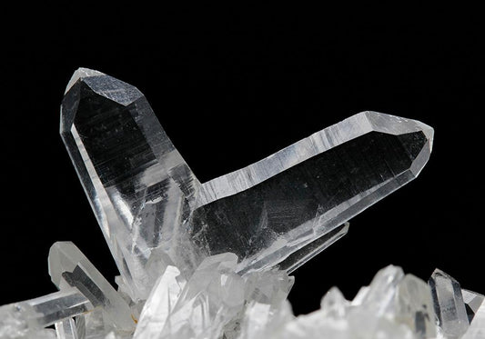CC10537 specimen image