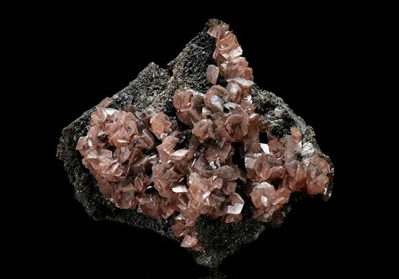 CC10538 specimen image