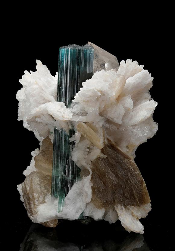 CC10539 specimen image