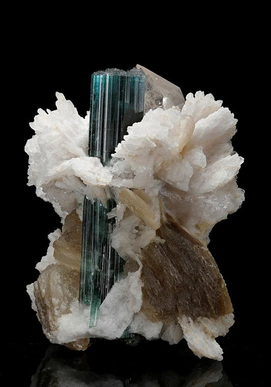 CC10539 specimen image