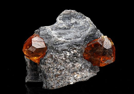CC10545 specimen image