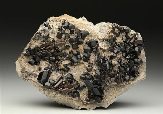 CC10549 specimen image