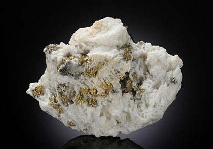 CC10586 specimen image