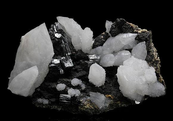 CC10590 specimen image