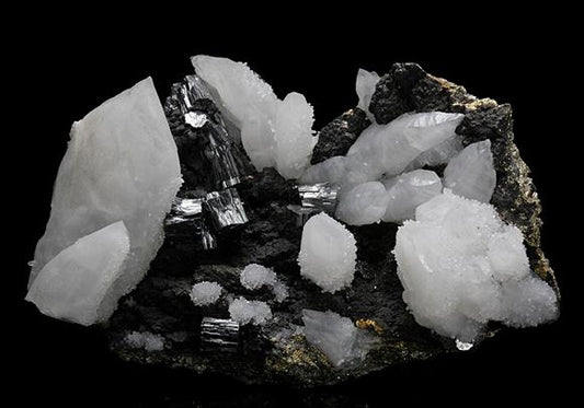 CC10590 specimen image