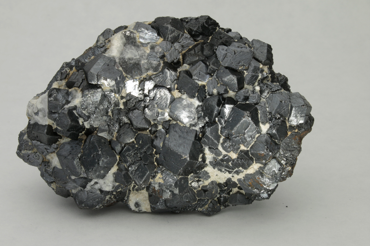 CC10617 specimen image