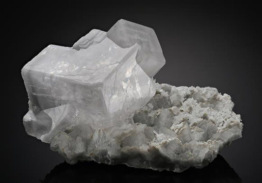 CC10636 specimen image