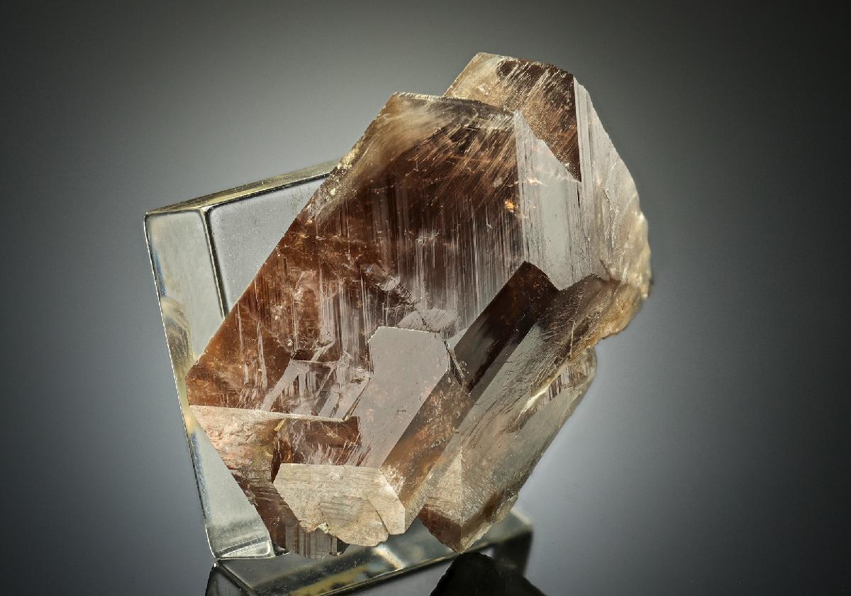 CC10647 specimen image