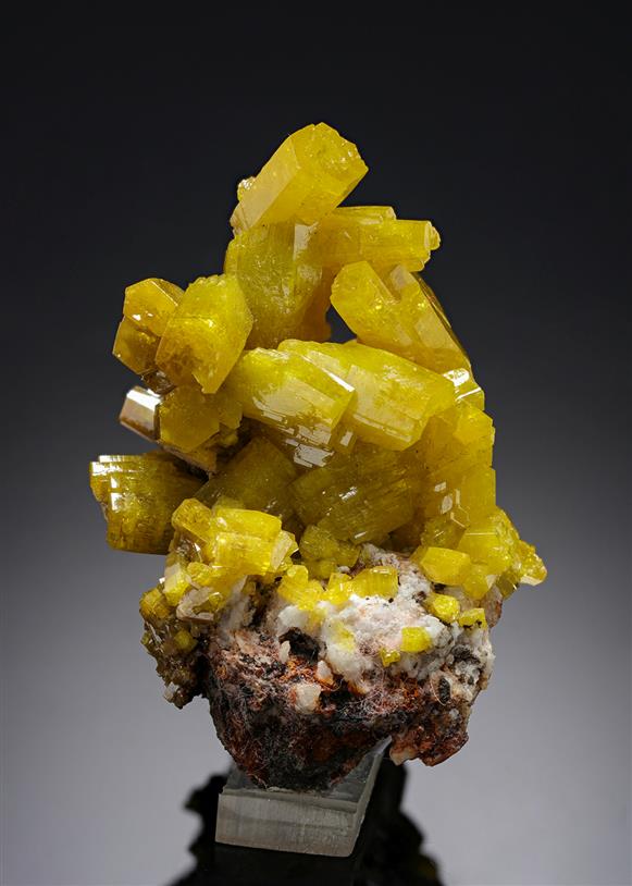 CC1065 specimen image