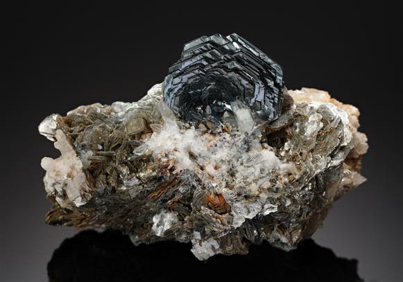 CC10663 specimen image