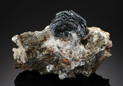 CC10663 specimen image