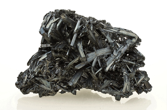 CC10665 specimen image