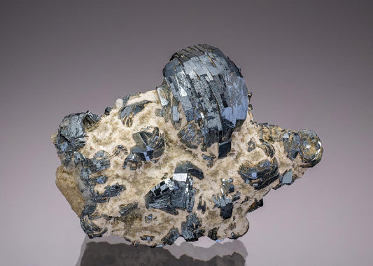 CC10677 specimen image