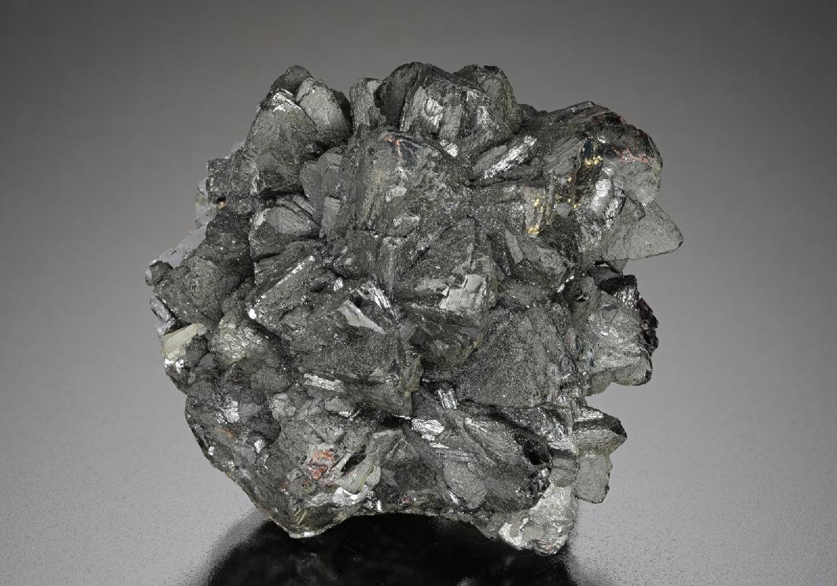 CC10695 specimen image