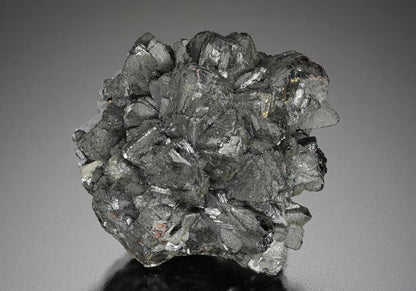 CC10695 specimen image