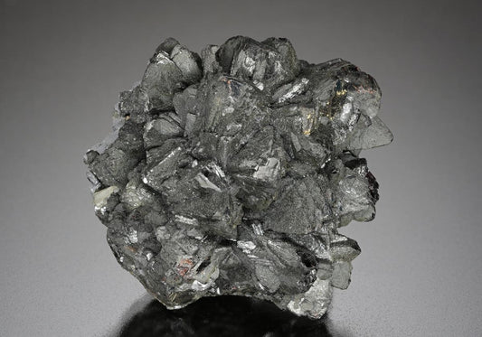 CC10695 specimen image