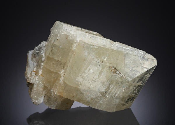CC10699 specimen image
