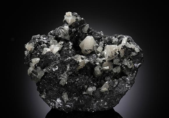 CC10701 specimen image