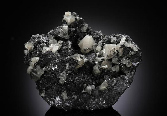 CC10701 specimen image