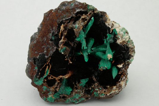 CC10805 specimen image