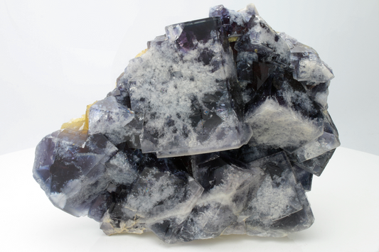 CC10810 specimen image
