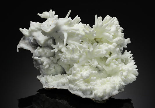 CC10815 specimen image