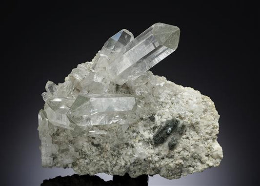 CC10821 specimen image