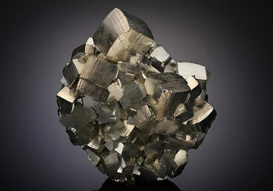 CC10831 specimen image