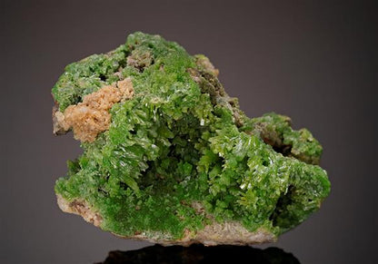 CC10853 specimen image