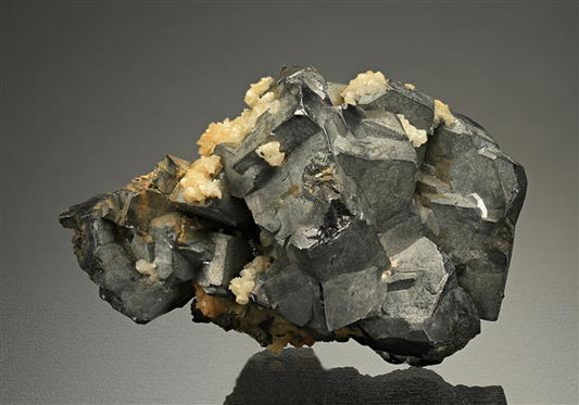 CC10887 specimen image