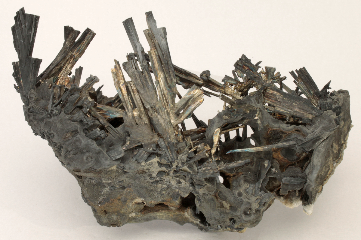 CC10904 specimen image