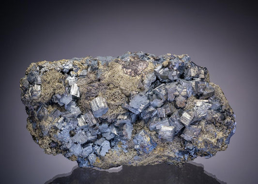 CC10907 specimen image