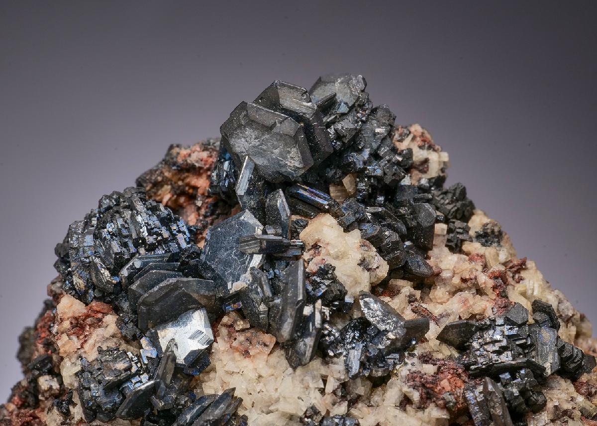 CC10916 specimen image