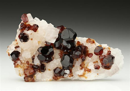 CC10925 specimen image