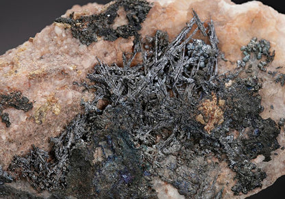 CC10939 specimen image