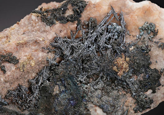 CC10939 specimen image