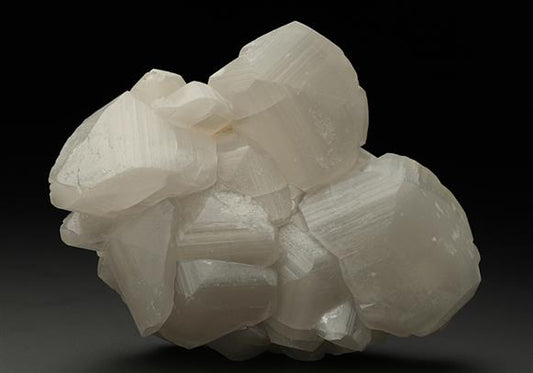 CC10960 specimen image