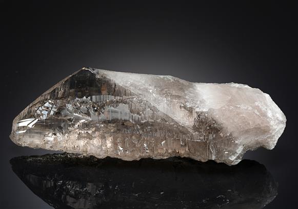 CC10979 specimen image