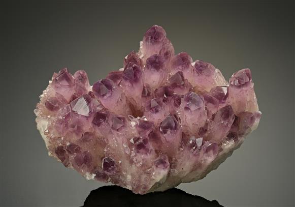 CC10983 specimen image