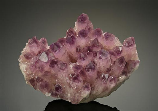 CC10983 specimen image