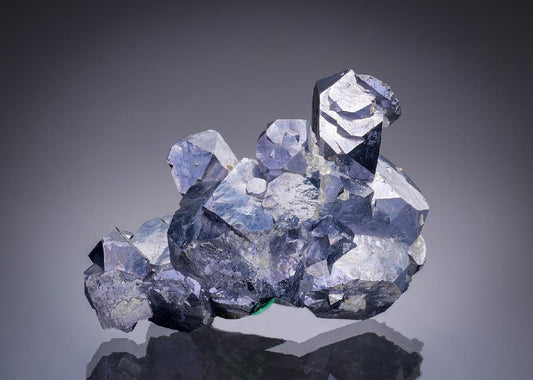 CC11034 specimen image
