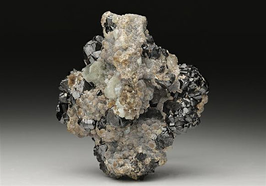 CC11042 specimen image