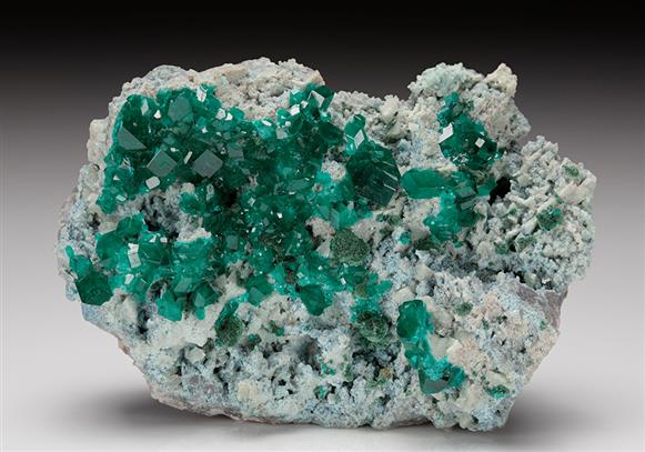CC11048 specimen image
