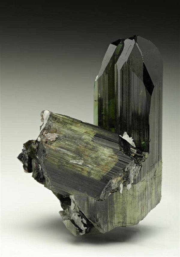 CC11063 specimen image